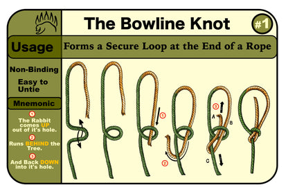 The Bear Essentials Knot Tying Kit - [Camping Knots Edition]